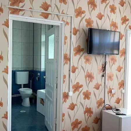 Dany 招待所 艾福雷诺德